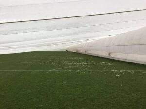 16114544_1511233522242747_2368454871204234613_n