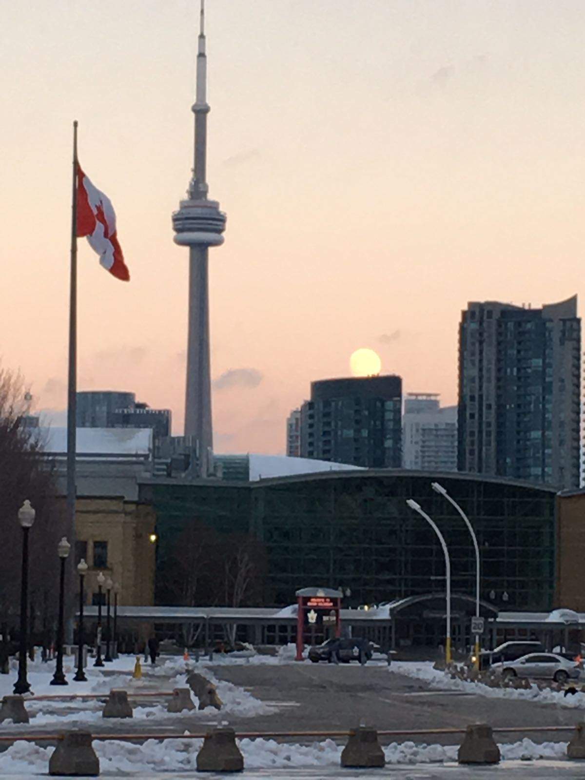 BMO Field, Toronto take delivery of a MacLeod Pitch Protection System