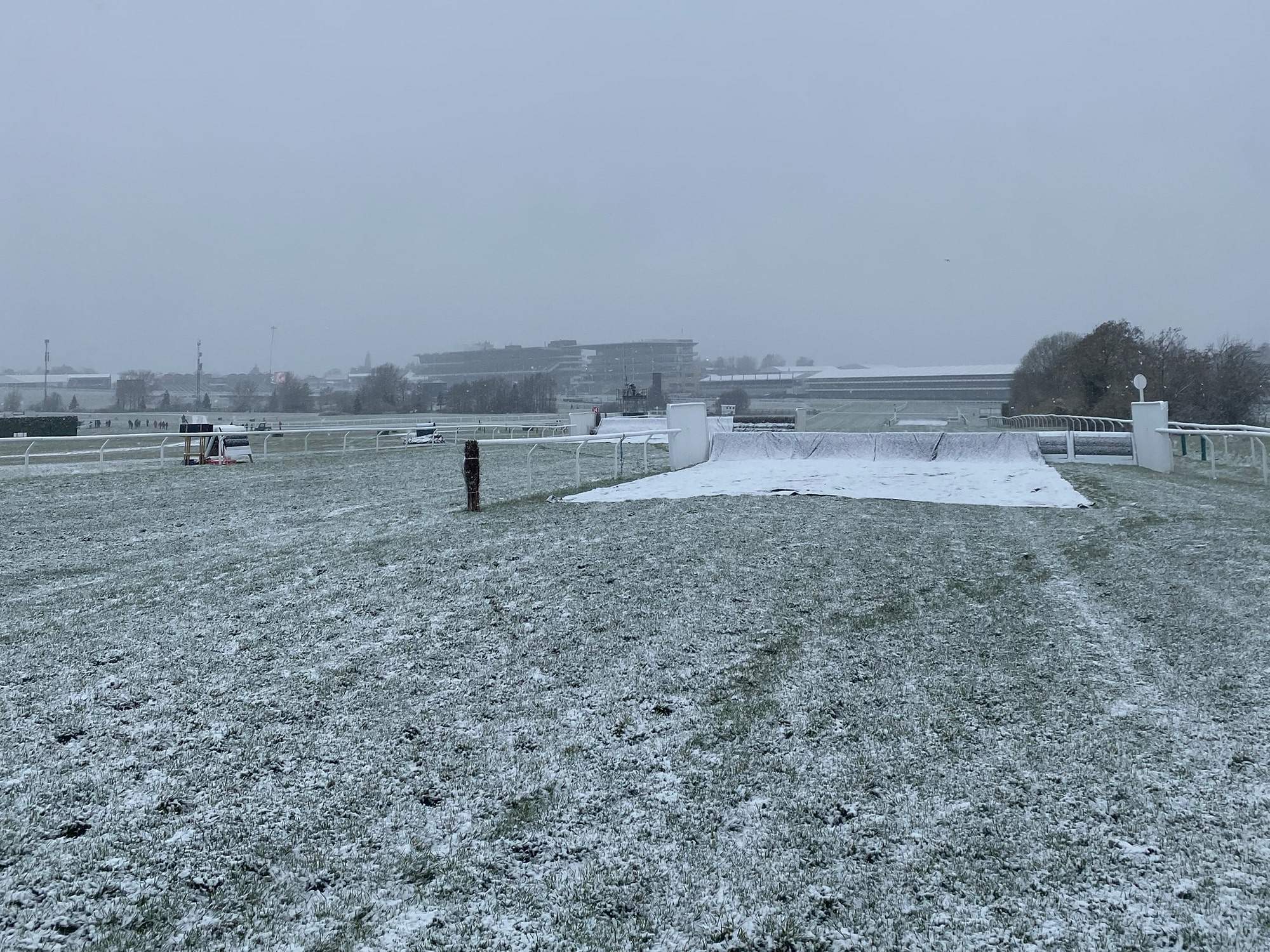 Frost Covers @ Cheltenham