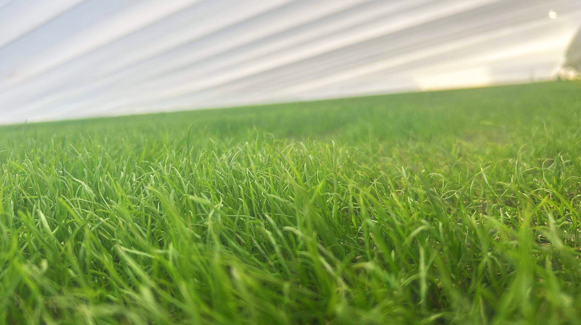 Worcestershire County Cricket Club – Feb/March 2025